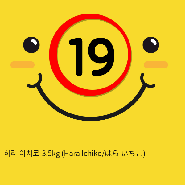 [남성용품] 하라 이치코-3.5kg 리얼돌