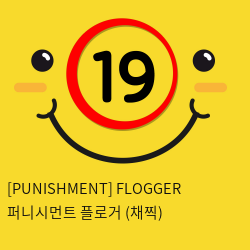 [PUNISHMENT] FLOGGER 퍼니시먼트 플로거 (채찍)